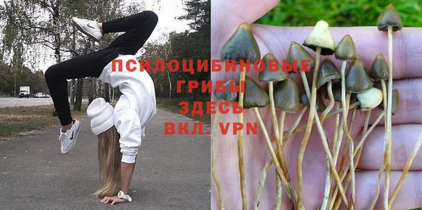 а пвп мука Баксан