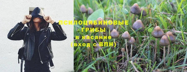 а пвп мука Баксан